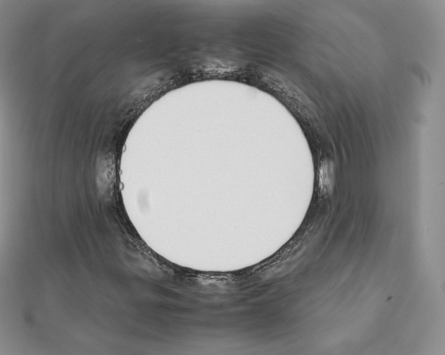 X0000111431299200908241113