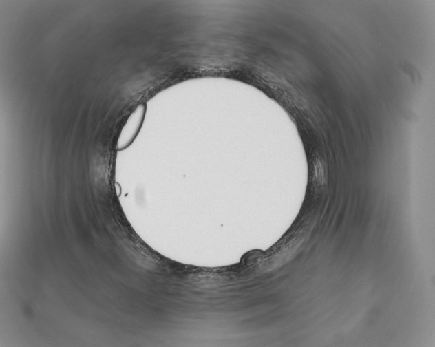X0000111431300200908241113