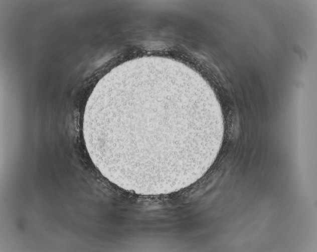 X0000111431301200908241113