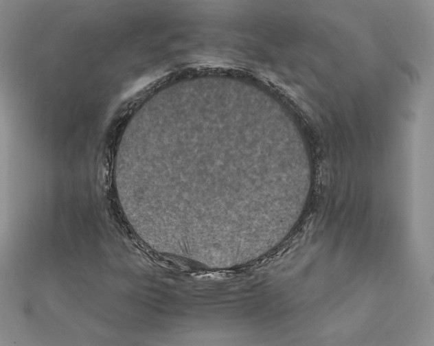 X0000111431303200908241113