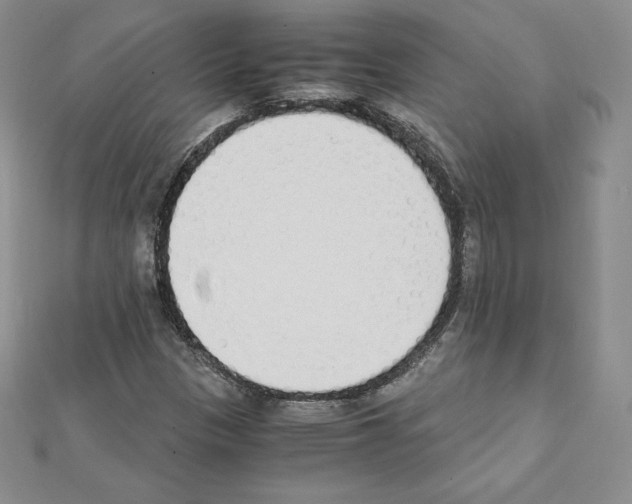 X0000111431305200908241113
