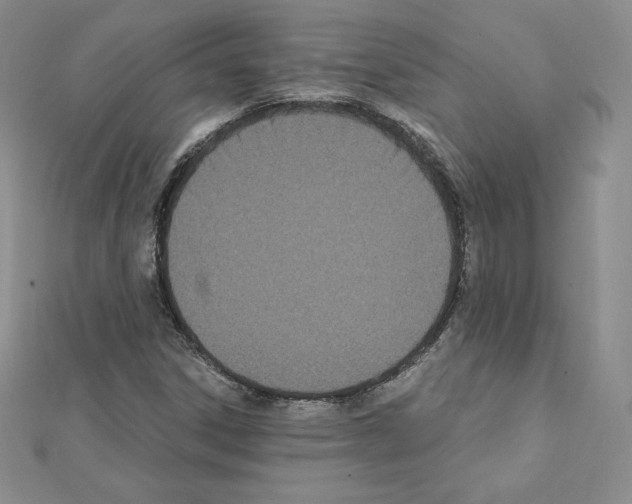 X0000111431306200908241113