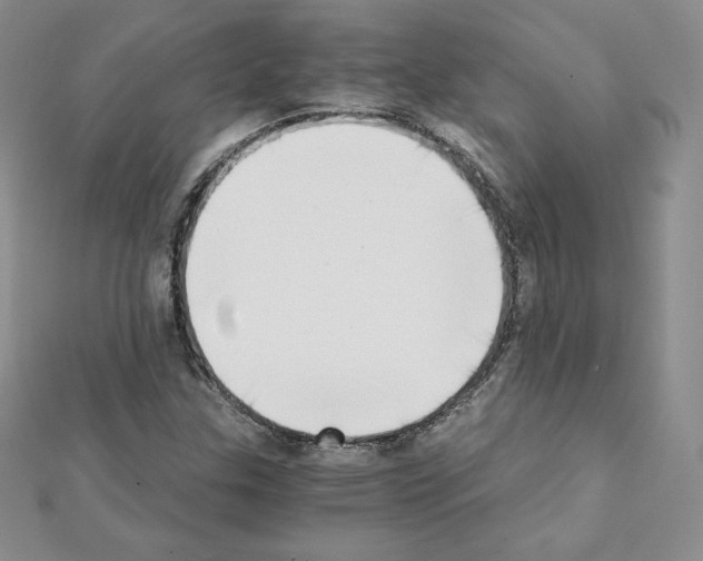 X0000111431307200908241113