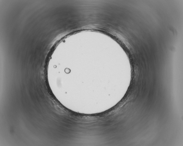 X0000111431308200908241113