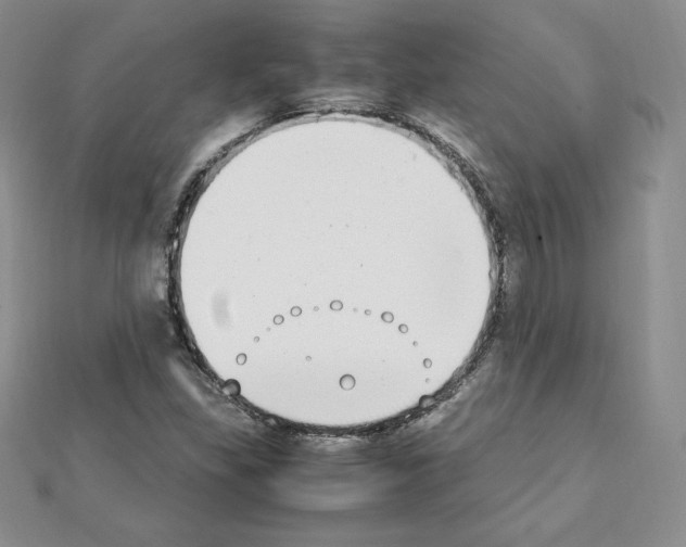 X0000111431309200908241113