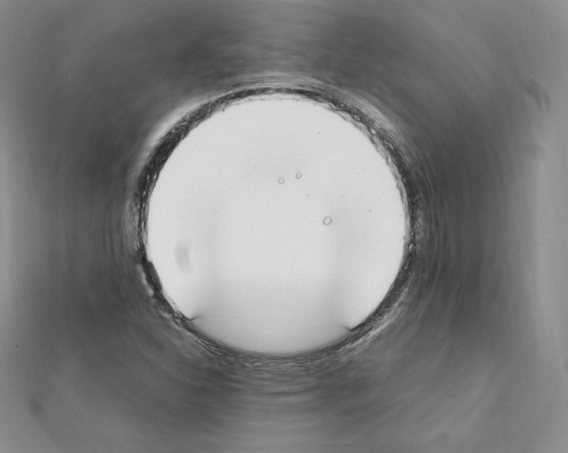 X0000111431310200908241113