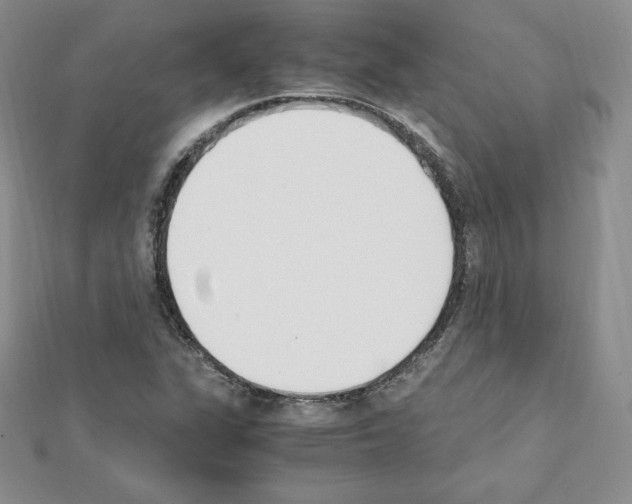 X0000111431311200908241113