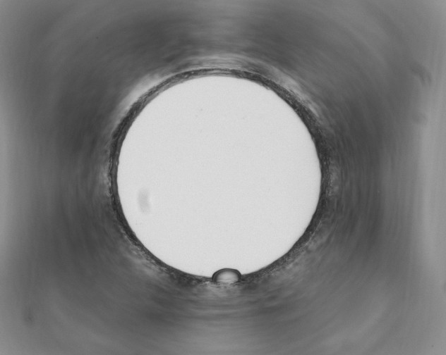 X0000111431312200908241113