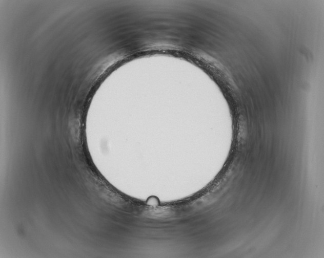 X0000111431313200908241113