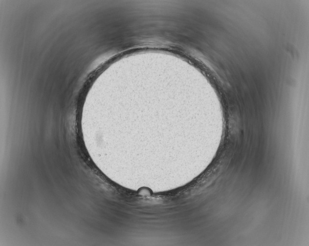 X0000111431315200908241113