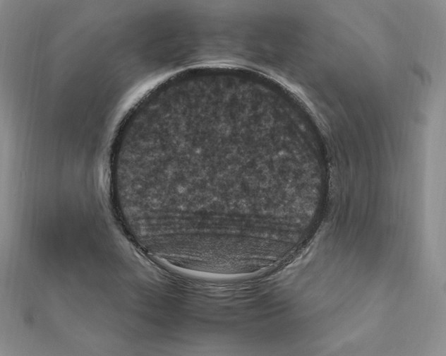 X0000111431319200908241113