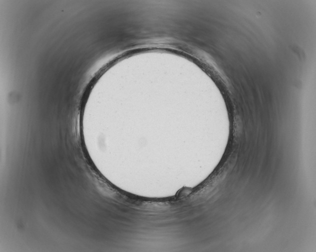 X0000111431320200908241113