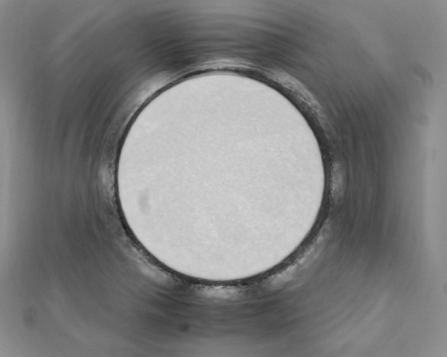 X0000111431321200908241113