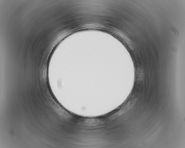 X0000111431322200908241113