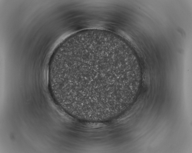 X0000111431323200908241113