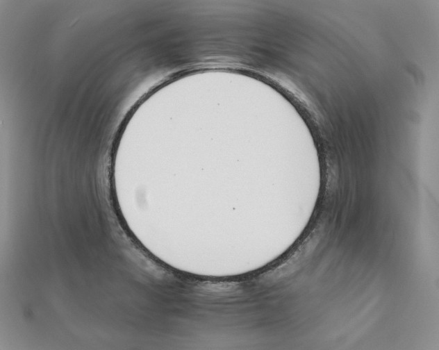 X0000111431325200908241113