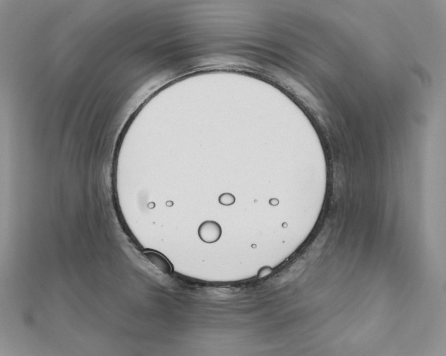 X0000111431330200908241113