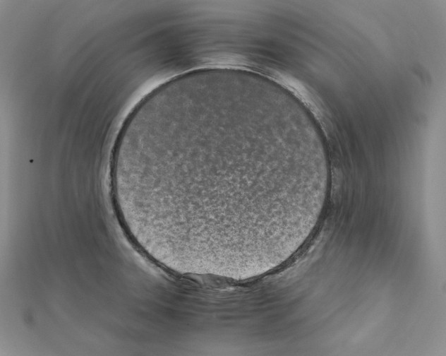 X0000111431331200908241113