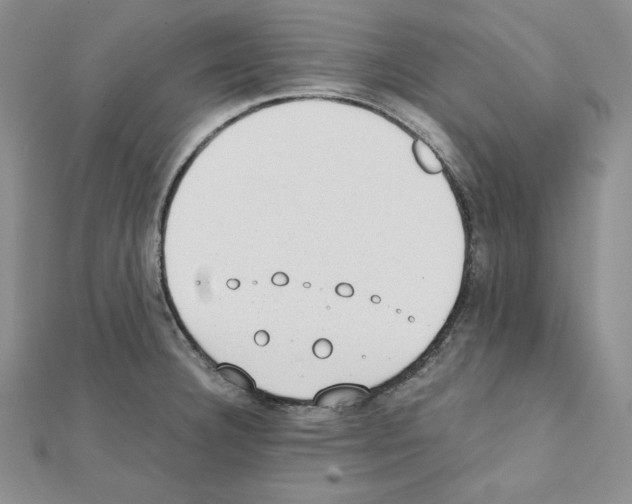X0000111431332200908241113