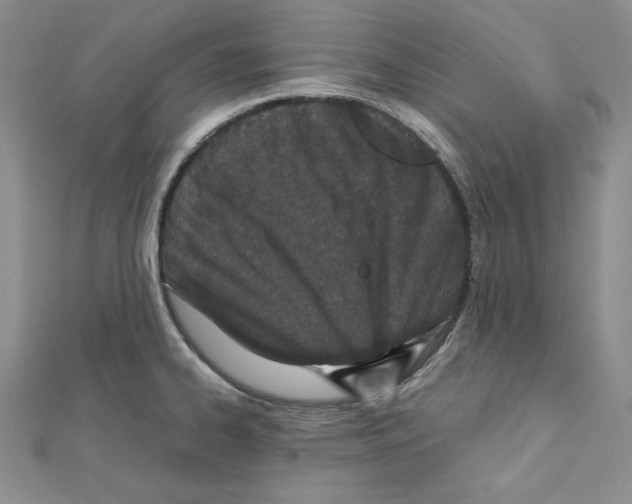 X0000111431334200908241113