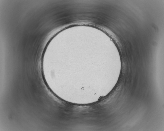 X0000111431335200908241113
