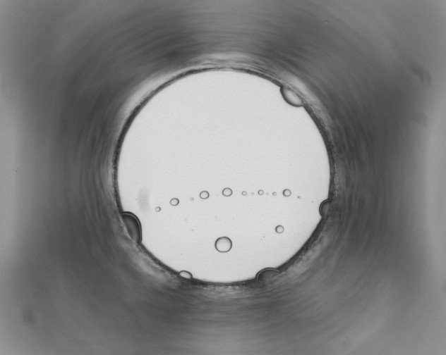 X0000111431336200908241113