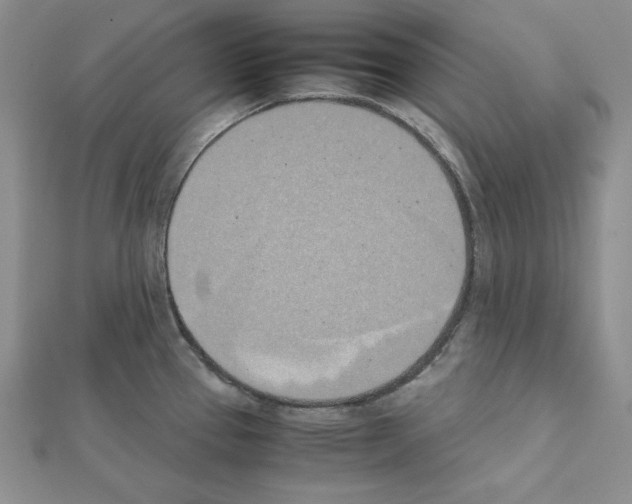 X0000111431337200908241113