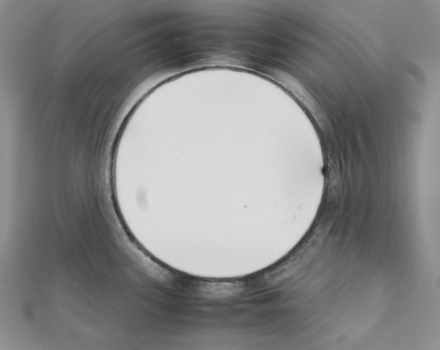 X0000111431339200908241113
