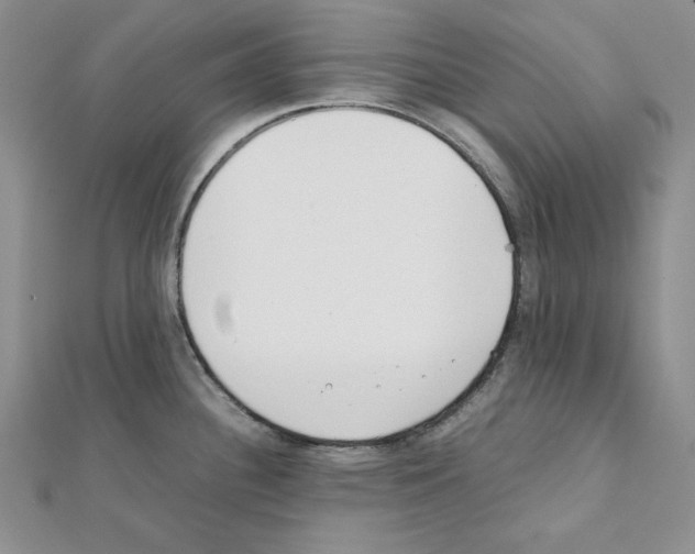 X0000111431340200908241113