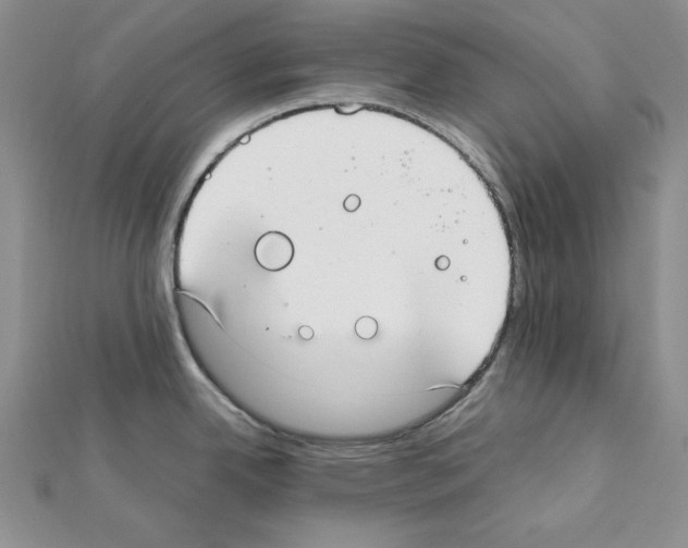 X0000111431342200908241113