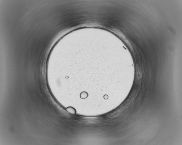 X0000111431343200908241113