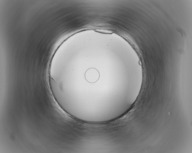 X0000111431344200908241113