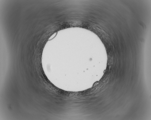 X0000111431345200908241113