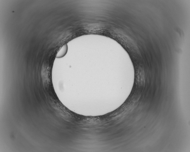 X0000111431346200908241113