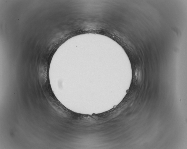 X0000111431348200908241113