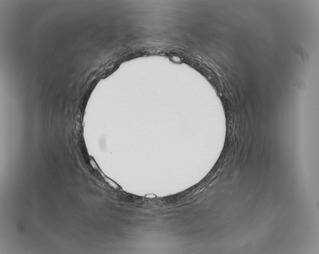 X0000111431349200908241113