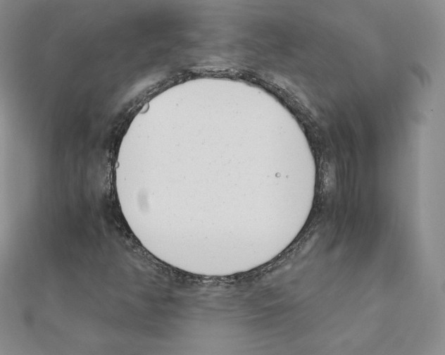 X0000111431350200908241113