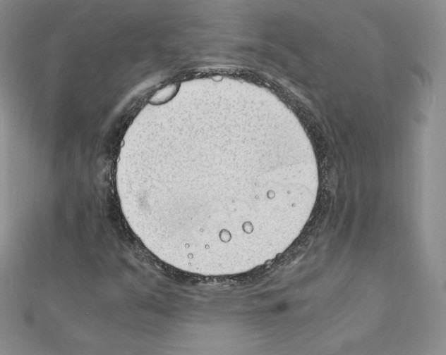 X0000111431351200908241113