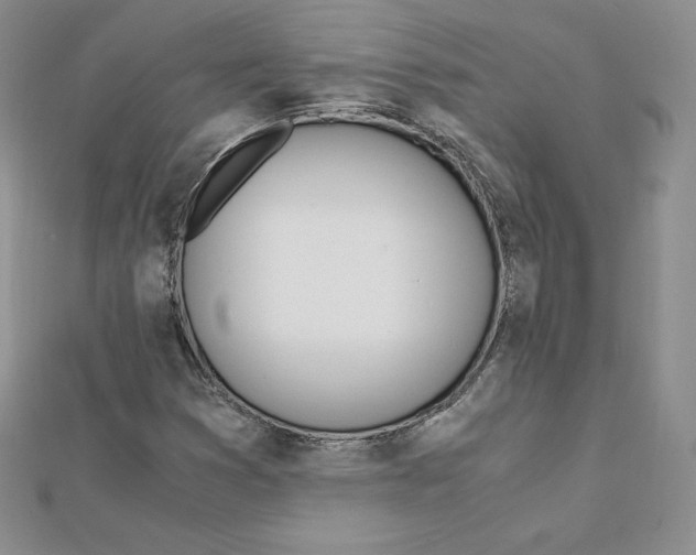 X0000111431353200908241113