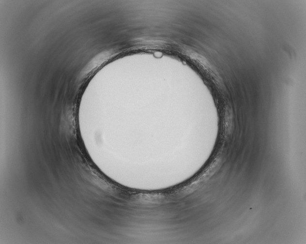 X0000111431354200908241113
