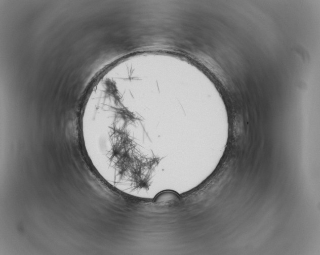 X0000111431356200908241113