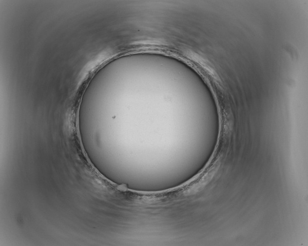 X0000111431357200908241113