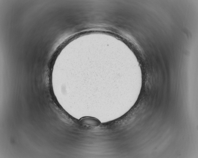 X0000111431360200908241113