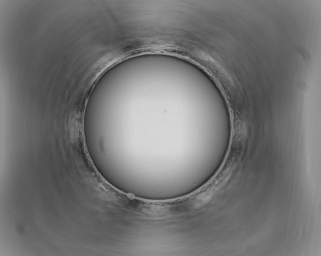 X0000111431361200908241113