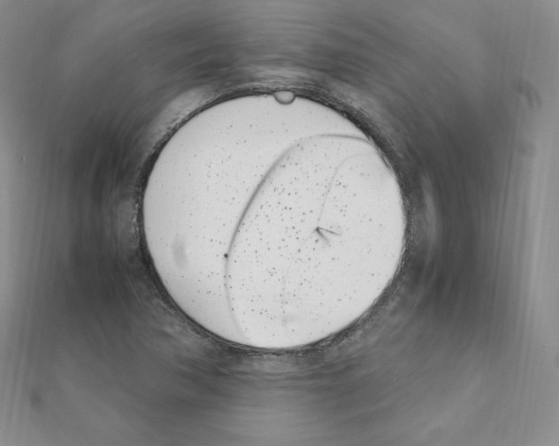 X0000111431362200908241113
