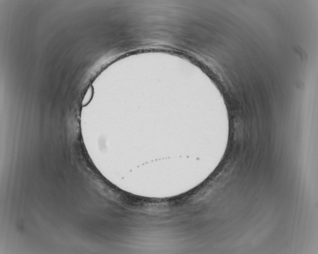 X0000111431363200908241113