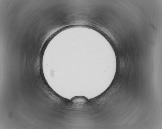 X0000111431364200908241113