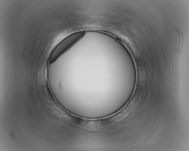 X0000111431365200908241113