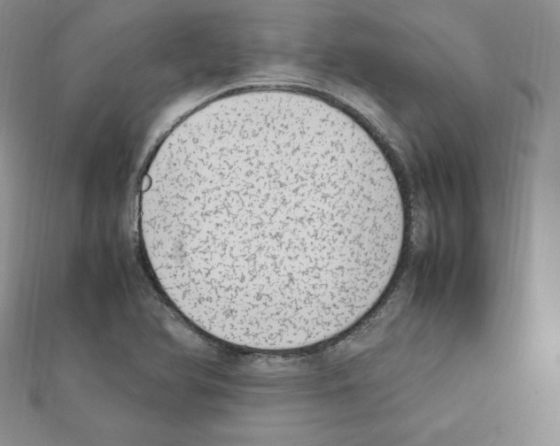 X0000111431366200908241113