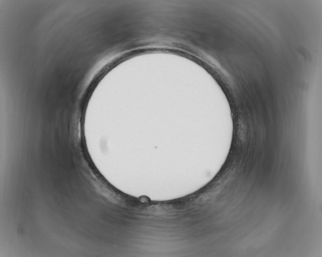 X0000111431368200908241113